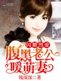 闪婚烈爱:腹黑老公暖萌妻