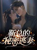 靳总的秘密逃妻