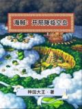 海贼:开局降临空岛