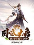 综武:卧底大唐,扶持李秀宁登基