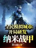 全民模拟城市:开局研发纳米战甲