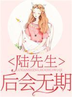 陆先生,后会无期