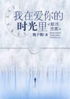 我在爱你的时光里,颠沛流离