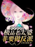 快穿虐渣:极品老太婆非要做反派