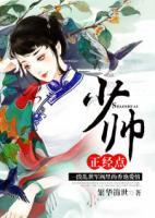 少帅,正经点