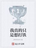 我真的只是想打铁