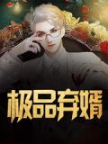 极品弃婿