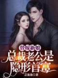替嫁新娘:总裁老公是隐形首富