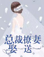 总裁撩妻,娶一送一