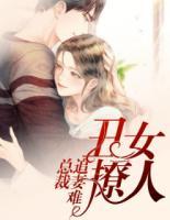 丑女撩人:总裁追妻难