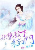 娘子不像话:妖孽殿下来敲门