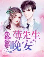 婚途似锦:薄先生,晚安