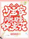 苗疆少主家的疯批郡主貌美如花