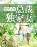 宠爱无度:总裁独家妻