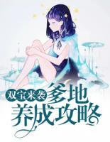 双宝来袭:爹地养成攻略