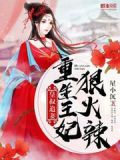 九皇叔的重生王妃