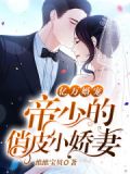 亿万婚宠:帝少的俏皮小娇妻