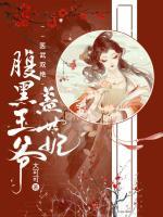 医武双绝:腹黑王爷盖世妃