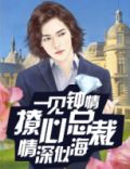 一见钟情:撩心总裁情深似海