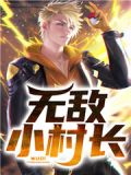 小村民的致富人生