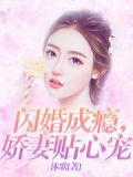 闪婚成瘾,娇妻贴心宠