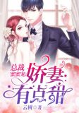 总裁蜜蜜宠:娇妻有点甜