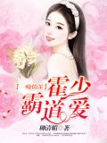 一晚情深,霍少霸道爱