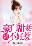 天价萌宝:豪门甜妻不好惹