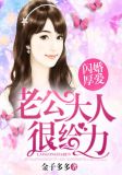 闪婚厚爱:老公大人很给力