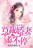 双生萌宝:总裁娇妻惹不停