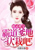机灵萌宝:霸道爹地认栽吧