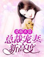 爱你不负:总裁宠妻新高度