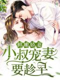 鲜嫩娇妻,小叔宠妻要趁早