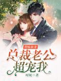 替嫁新妻:总裁老公超宠我