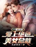 一夜风流,爱上绝色美女总裁