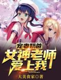 宠妻奶爸:女神老师爱上我