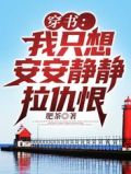 穿书:我只想安安静静拉仇恨