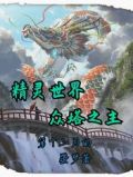精灵世界:众塔之主