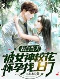 表白当天,被女神校花怀孕找上门