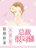 豪门隐婚:宠妻要趁早