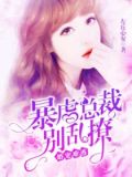 总裁,我们不熟