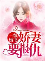 一纸婚书:娇妻要报仇