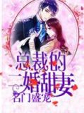 名门盛宠:总裁的二婚甜妻
