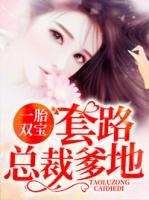 一胎双宝:套路总裁爹地