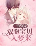 一夜强宠:双胞宝贝入梦来