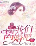 顾先生,我们离婚吧!