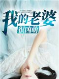 我的老婆很凶萌