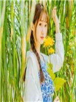 假婚真爱:暖暖训夫记
