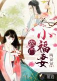 农门小福妻