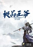极品王爷